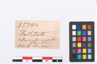 Etikett zu Bernsteinperle (NHMW-PRAE-035794)